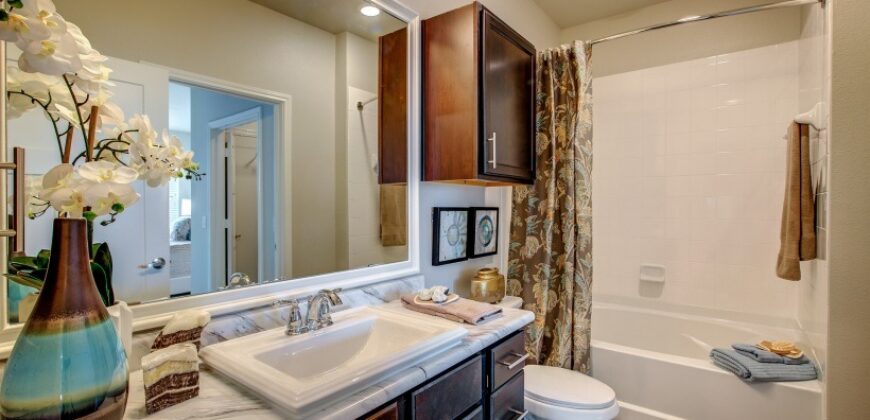 Austin Waters At Tech Ridge