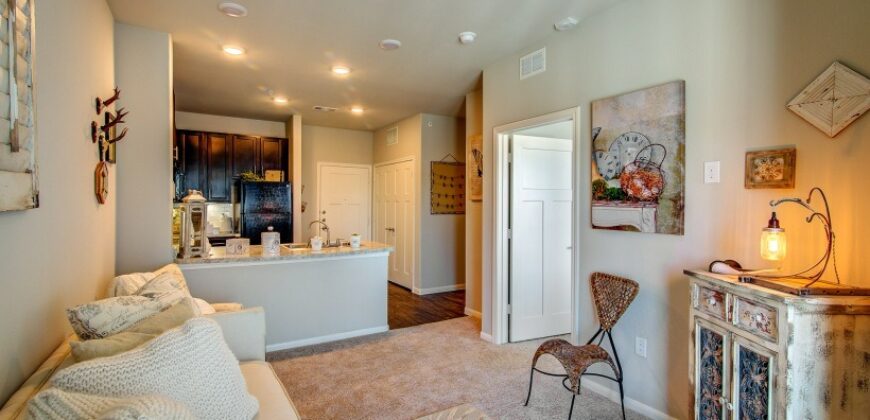 Austin Waters At Tech Ridge