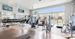 Avaya Kingwood
