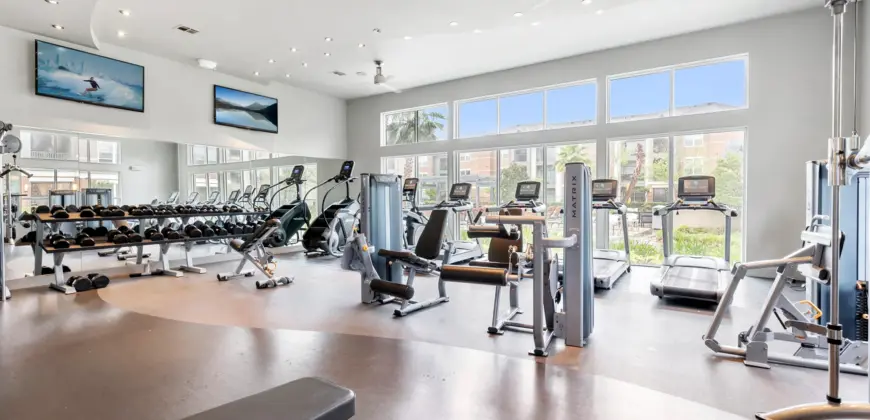 Avaya Kingwood