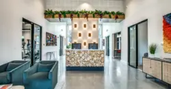 Aventura On Briar Forest