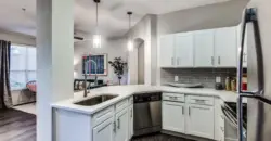 Aventura On Briar Forest
