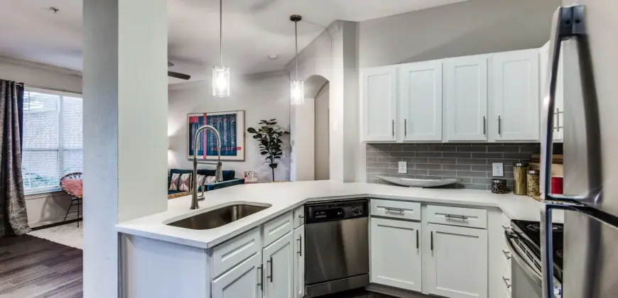 Aventura On Briar Forest