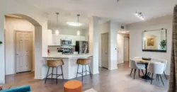 Aventura On Briar Forest