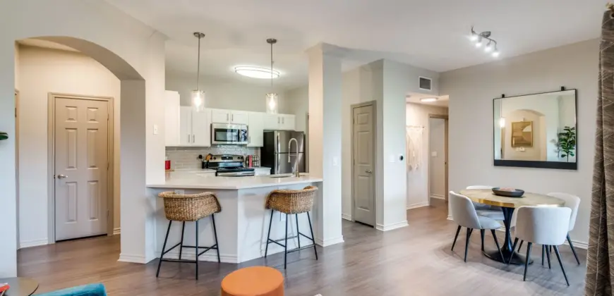 Aventura On Briar Forest