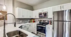 Aventura On Briar Forest