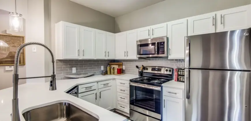 Aventura On Briar Forest