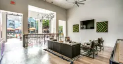 Aventura On Briar Forest