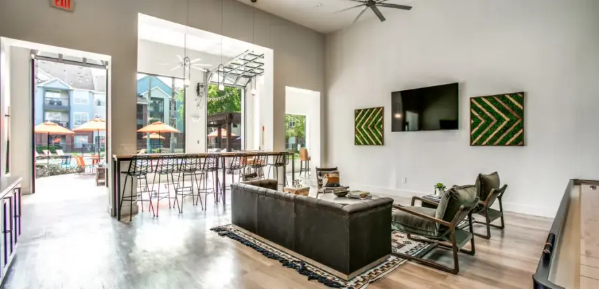 Aventura On Briar Forest