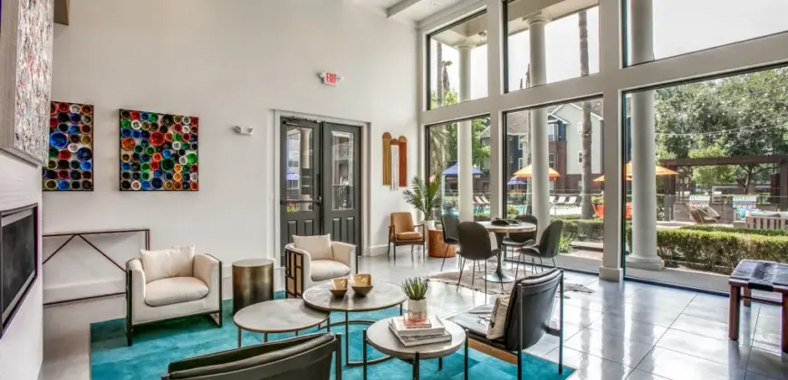 Aventura On Briar Forest