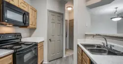Aventura On Briar Forest