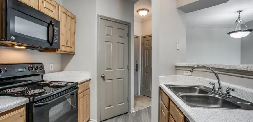 Aventura On Briar Forest