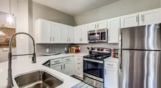 Aventura On Briar Forest