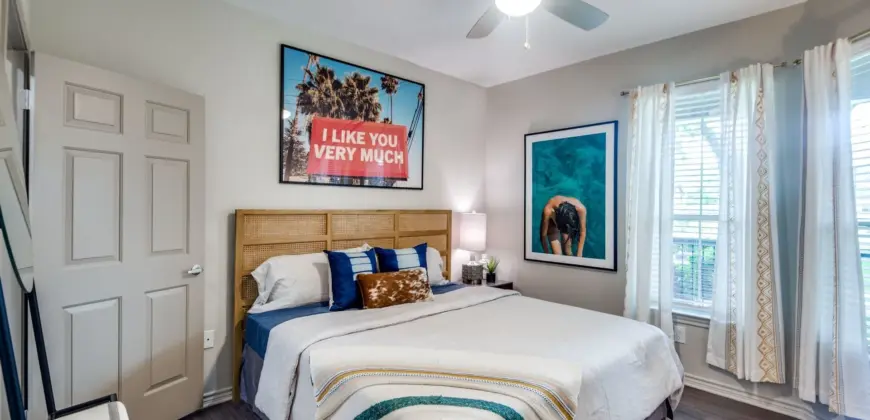 Aventura On Briar Forest