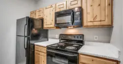 Aventura On Briar Forest