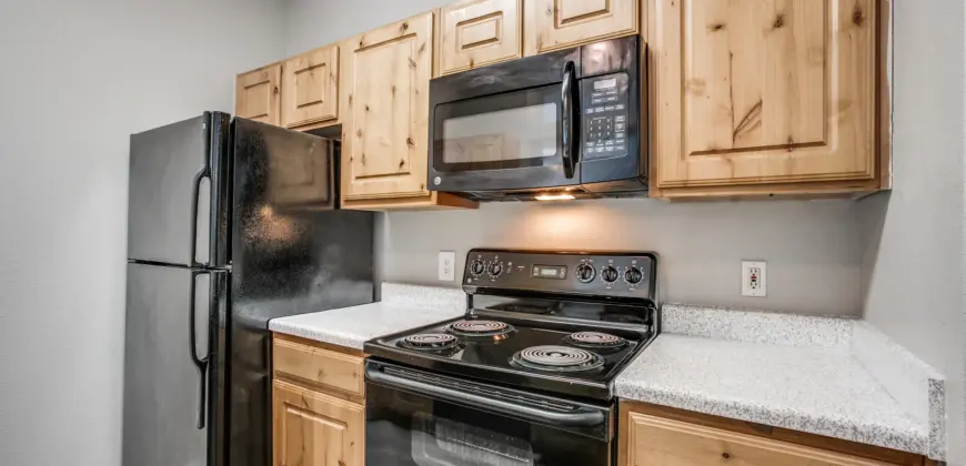 Aventura On Briar Forest