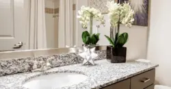 Beck At Wells Branch