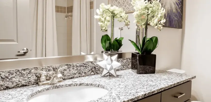 Beck At Wells Branch