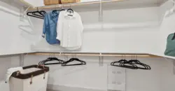 Belt & Main
