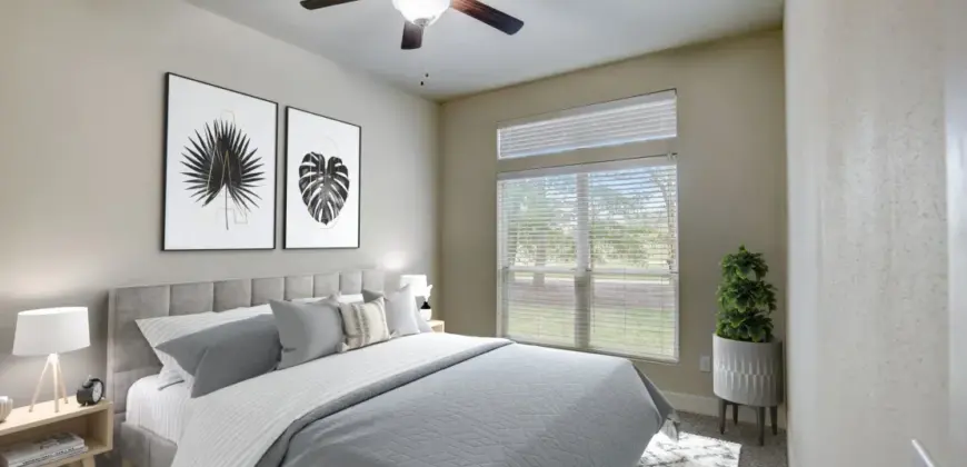 Belvedere At Springwoods Village