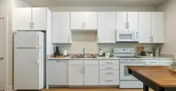 Birchway Spring Cypress