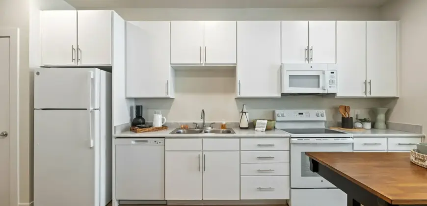 Birchway Spring Cypress