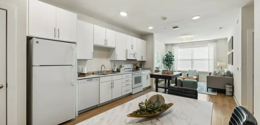 Birchway Spring Cypress