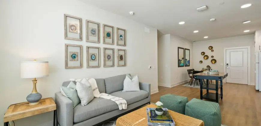 Birchway Spring Cypress