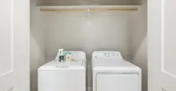 Birchway Spring Cypress