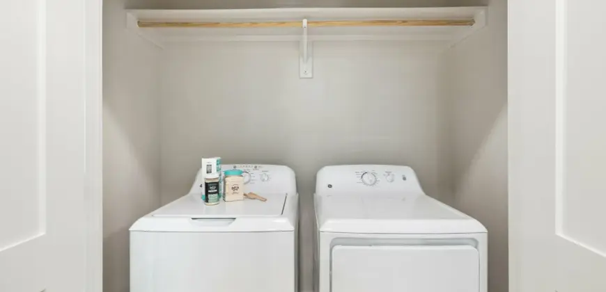 Birchway Spring Cypress