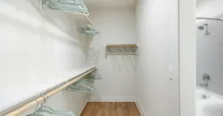 Birchway Spring Cypress