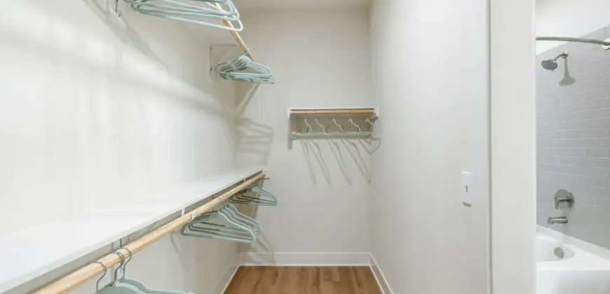 Birchway Spring Cypress