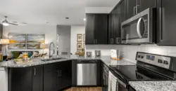 Bridge At Southpark Landing