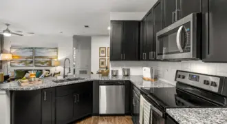 Bridge At Southpark Landing