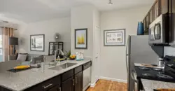 Bridge At South Park Meadows