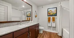 Bridge At South Park Meadows