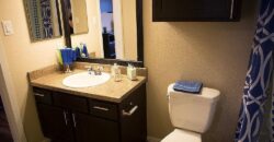 Bridge At Southpoint