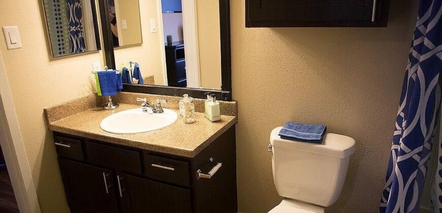 Bridge At Southpoint