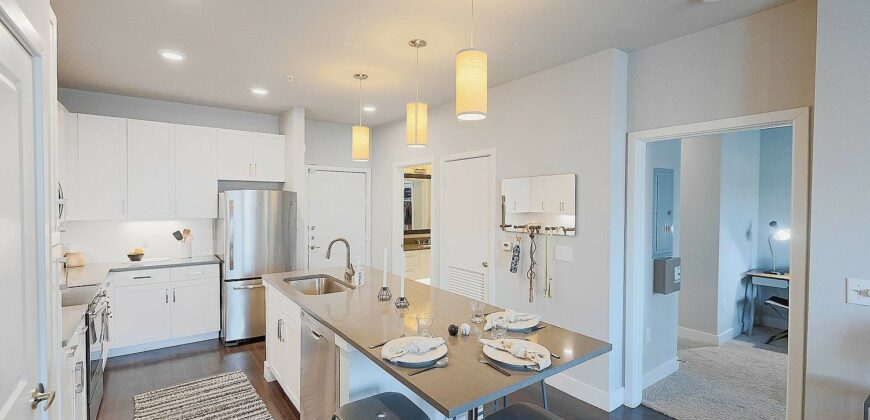 Bridge At Steiner Ranch