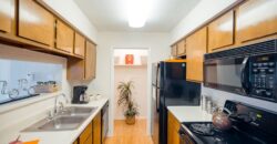 Bridge At Sterling Springs