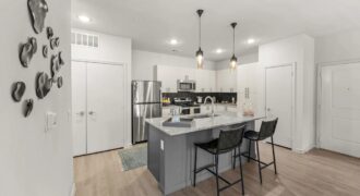 Bridge At Tech Crossing