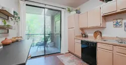 Bridge At Waters Park