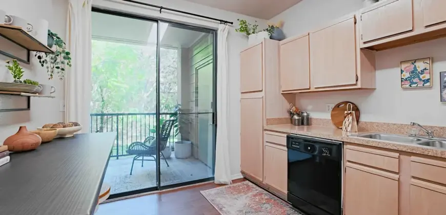 Bridge At Waters Park