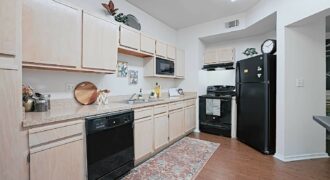 Bridge At Waters Park