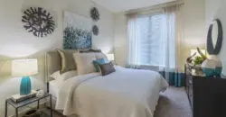 Broadstone Woodmill Creek