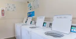 Brushy Creek Village