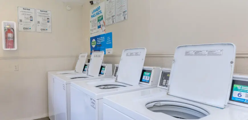 Brushy Creek Village