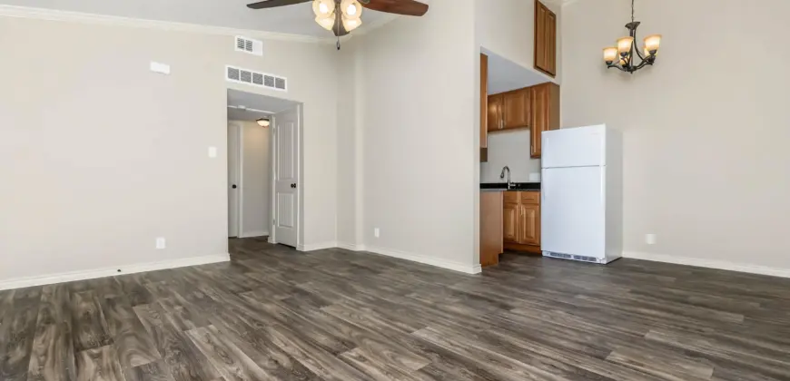 Brushy Creek Village