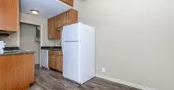 Brushy Creek Village