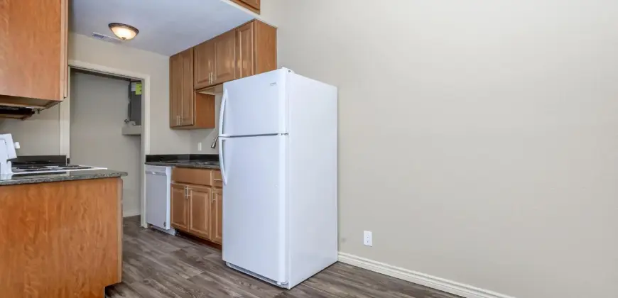 Brushy Creek Village